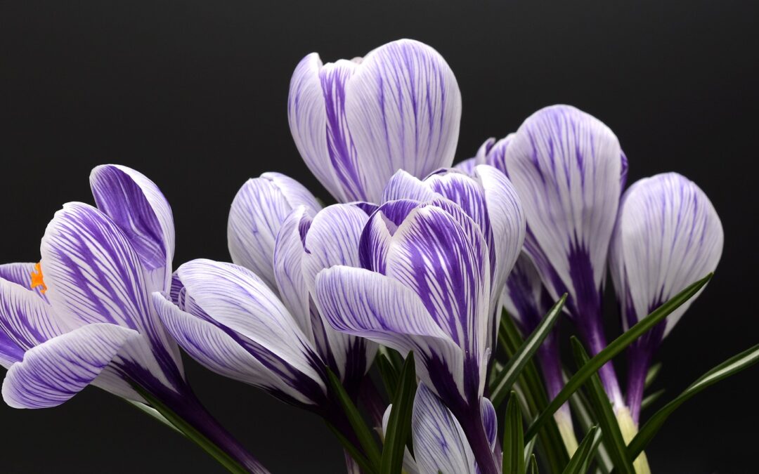 Our Chairman’s Message – March 2023