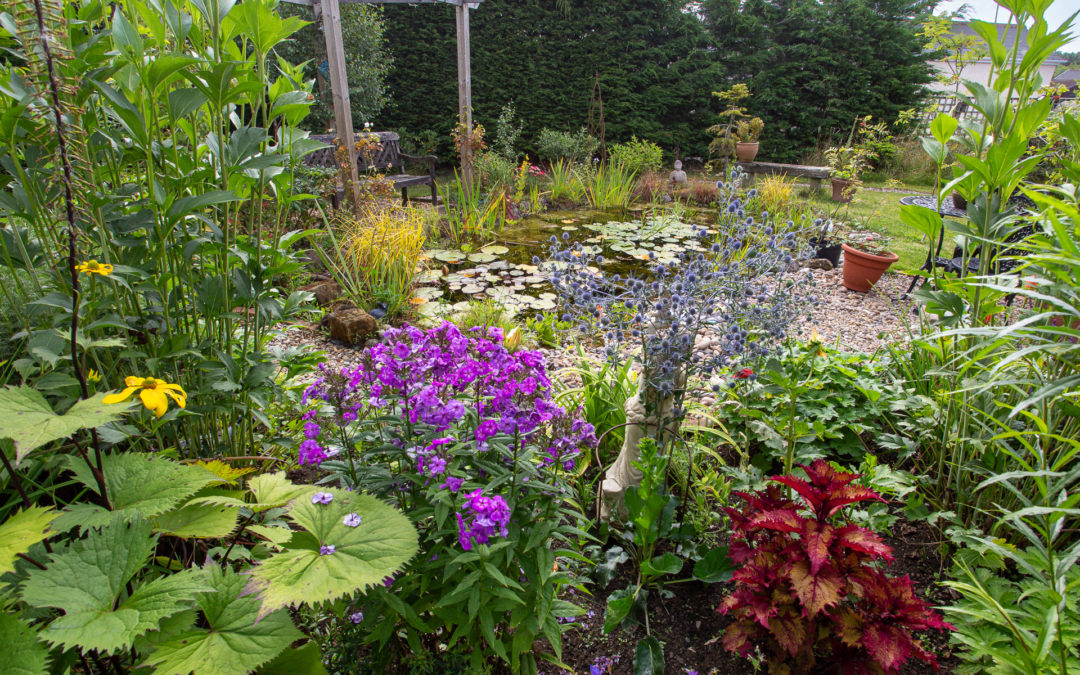 Stannington WI – WI Life – Beautiful Garden