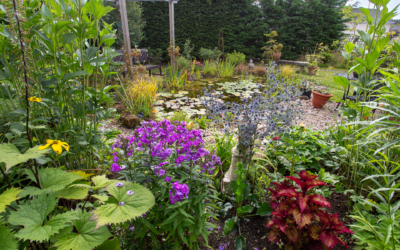 Stannington WI – WI Life – Beautiful Garden